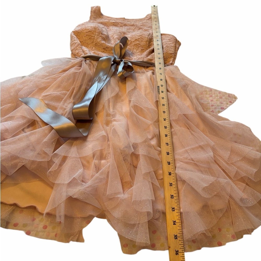 Le Chateau Junior Size 11 Pink Lace Dress with Mesh Skirt-Silver Sash-Lined - Picture 8 of 11